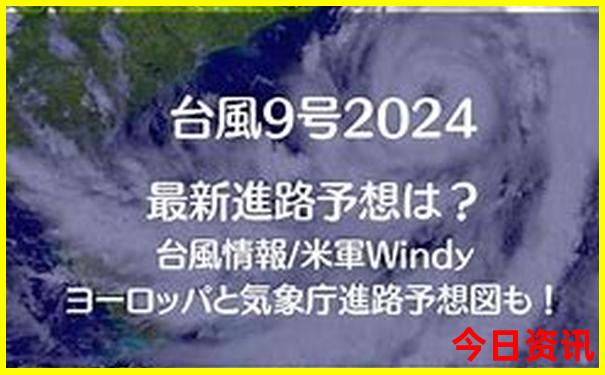最新爆料2025全新获取精准资料大全新权威全免费-2025全年正版资料大全